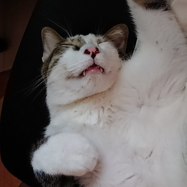 CinqinTWさんの実例写真
