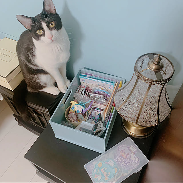 chisouさんの実例写真