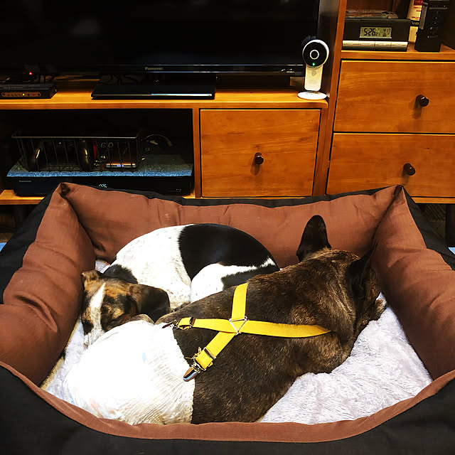pecoさんの実例写真