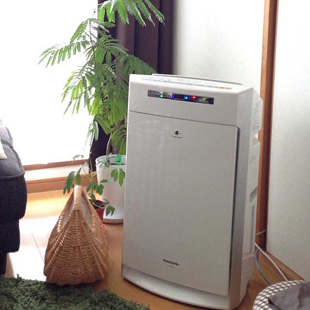 mameさんの実例写真