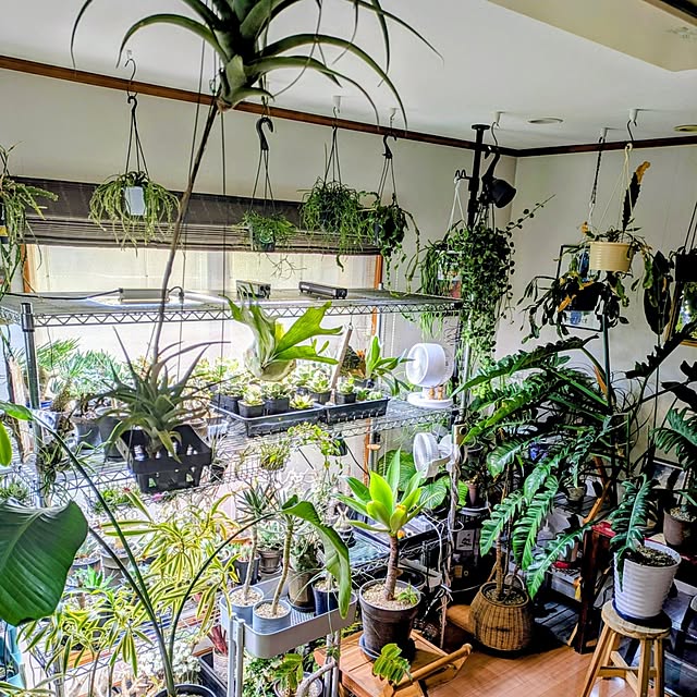 ot-gardenさんの部屋