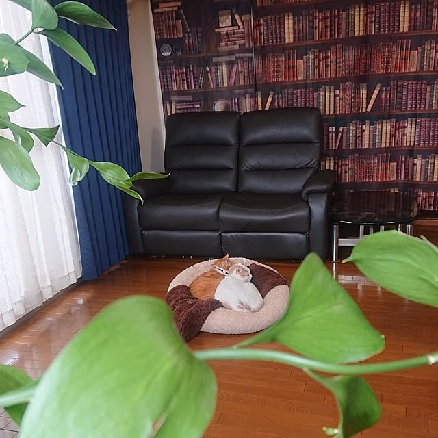 NOAHさんの実例写真