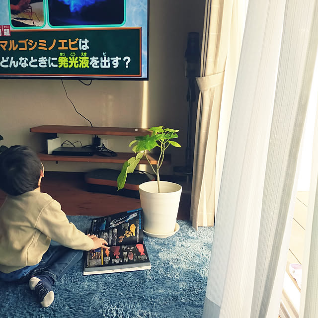asamamaさんの実例写真