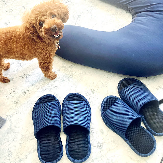 MOMOMAMAさんの実例写真