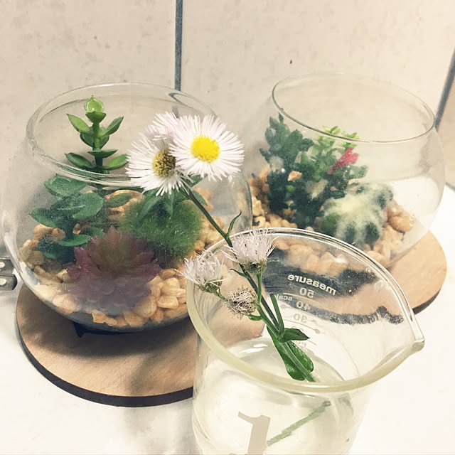 ohanaさんの実例写真
