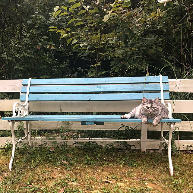 COCOさんの実例写真