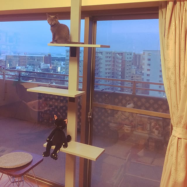 Shojiさんの実例写真