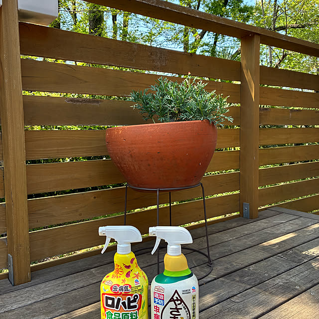 mirutanさんの実例写真