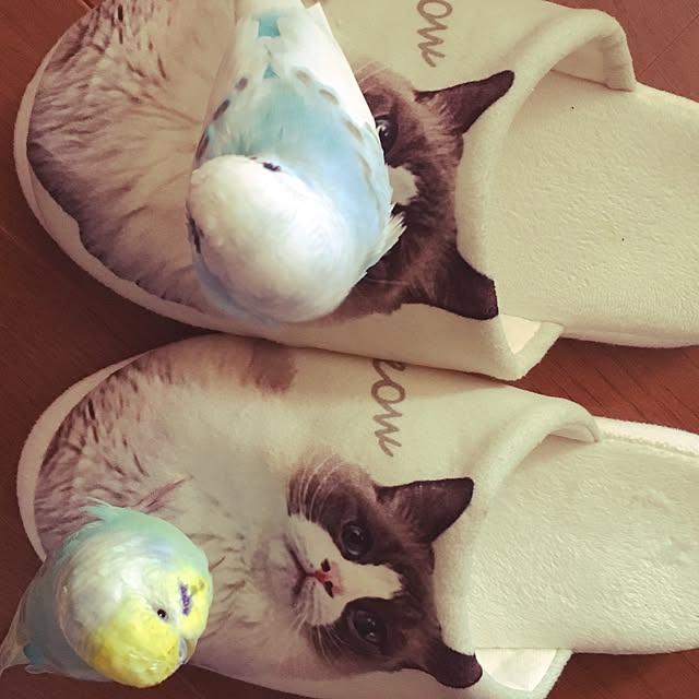 Mozumama6789さんの実例写真