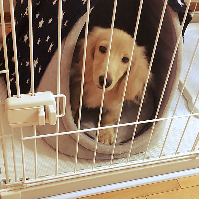 YUKARIさんの実例写真