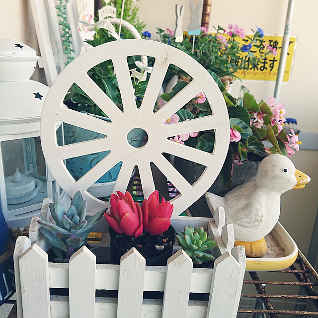 yokomokoさんの実例写真