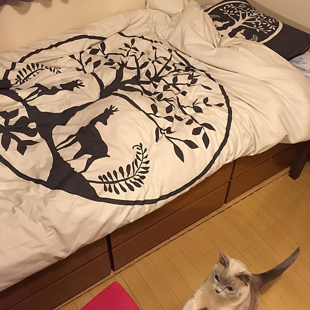 monkeymajimajikさんの実例写真