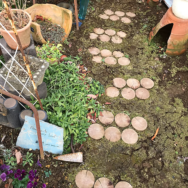 kokko3さんの実例写真
