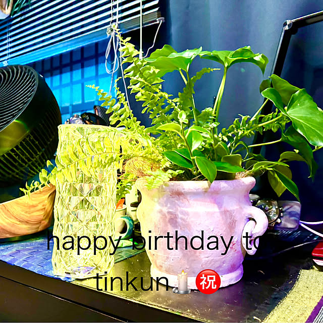 tututu0204さんの実例写真