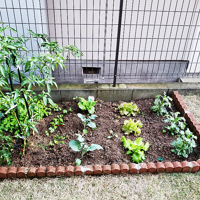 masaさんの実例写真
