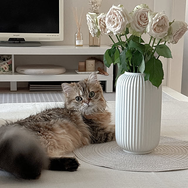 miyu39さんの部屋