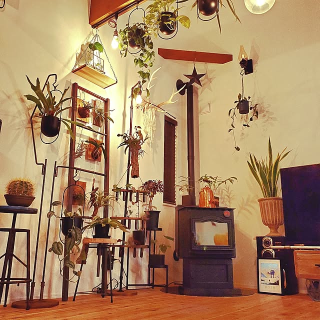 rimoleoさんの実例写真