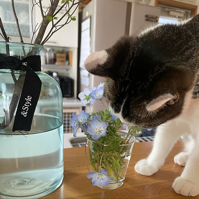Akiさんの実例写真