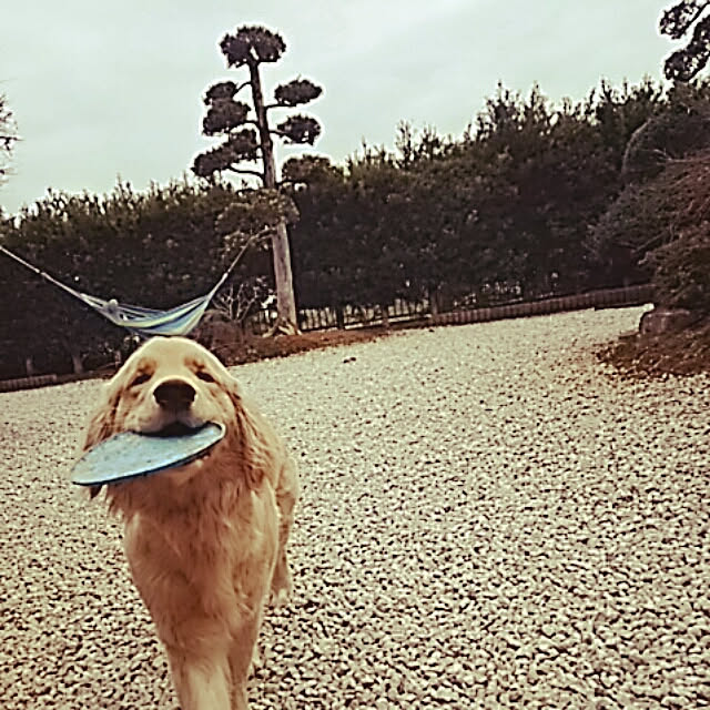 woodyさんの実例写真