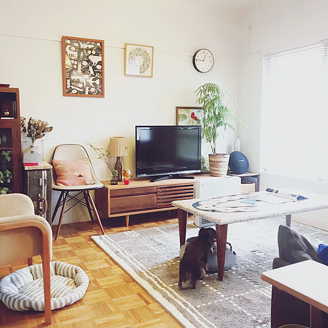ウニコ ラグのおすすめ商品とおしゃれな実例 | RoomClip ウニコ ラグのおすすめ商品とおしゃれな実例 | RoomClip