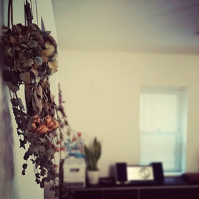 DailyRoomclip