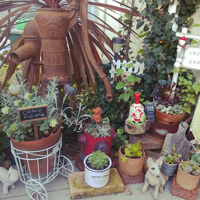 michi-michi39さんの実例写真