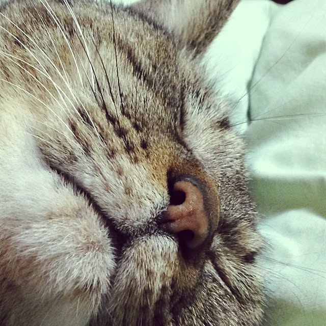 aiさんの実例写真