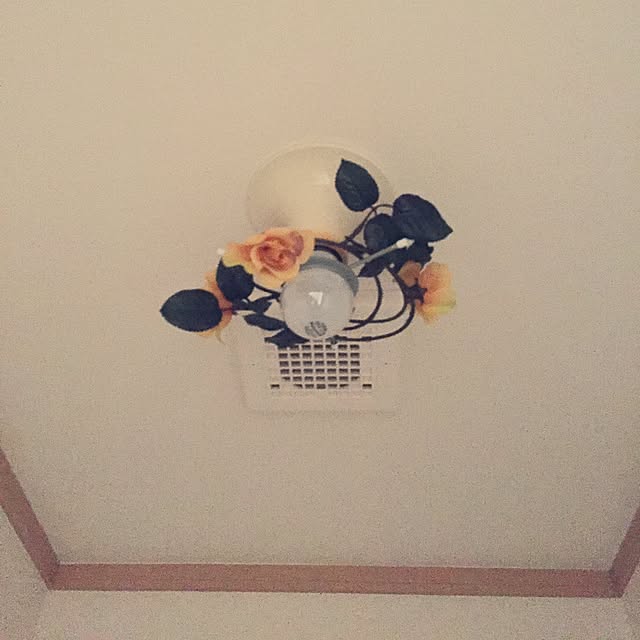 ysさんの実例写真