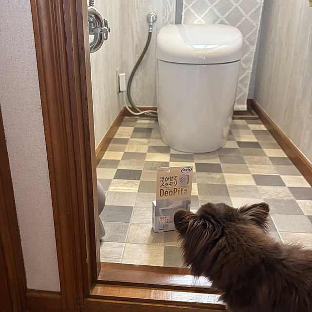 chIoeさんの部屋