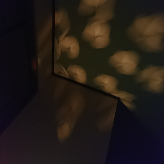 壁/天井のインテリア実例 - 2021-03-21 22:26:28