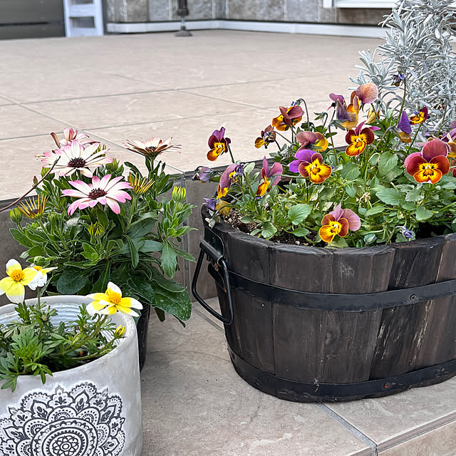 miyu39さんの実例写真