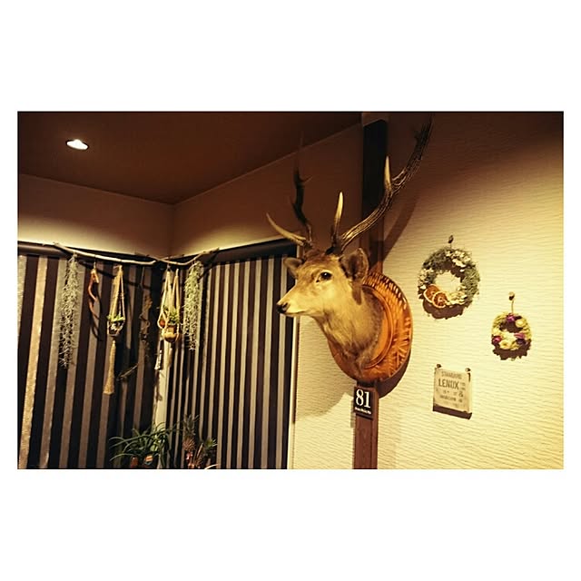 miccoさんの実例写真
