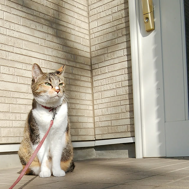 tomo1220さんの実例写真
