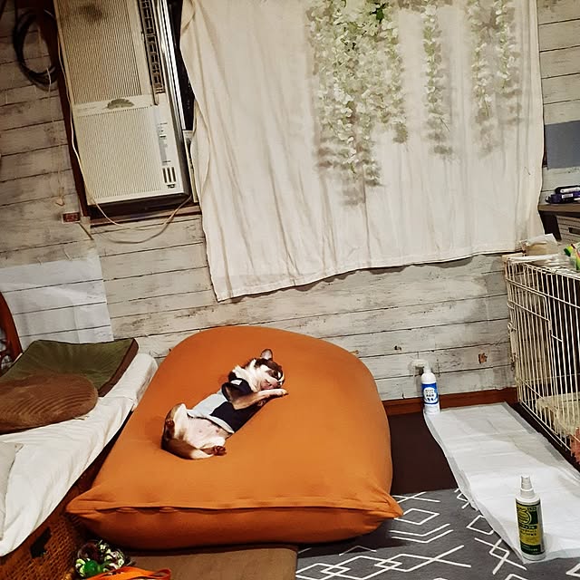 部屋全体/二世帯住宅/DIY/くつろぎ空間/半地下のあるお家...などのインテリア実例 - 2024-06-22 17:44:29