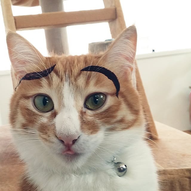 jjeennnniiffeerrさんの実例写真