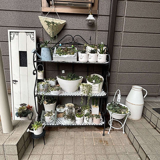 momocchiさんの部屋