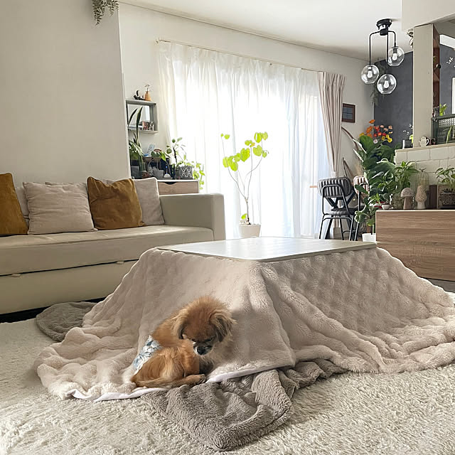 manatokyouyaharuさんの実例写真