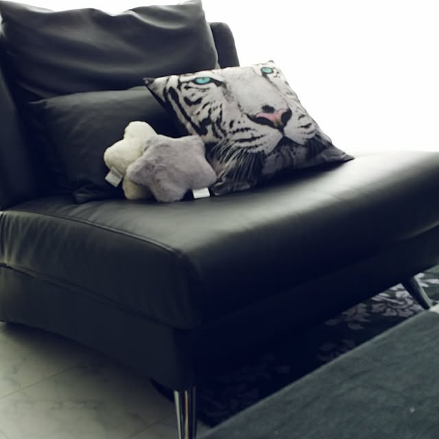 chiiさんの実例写真