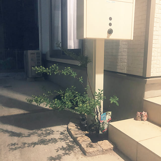 yuyuさんの実例写真