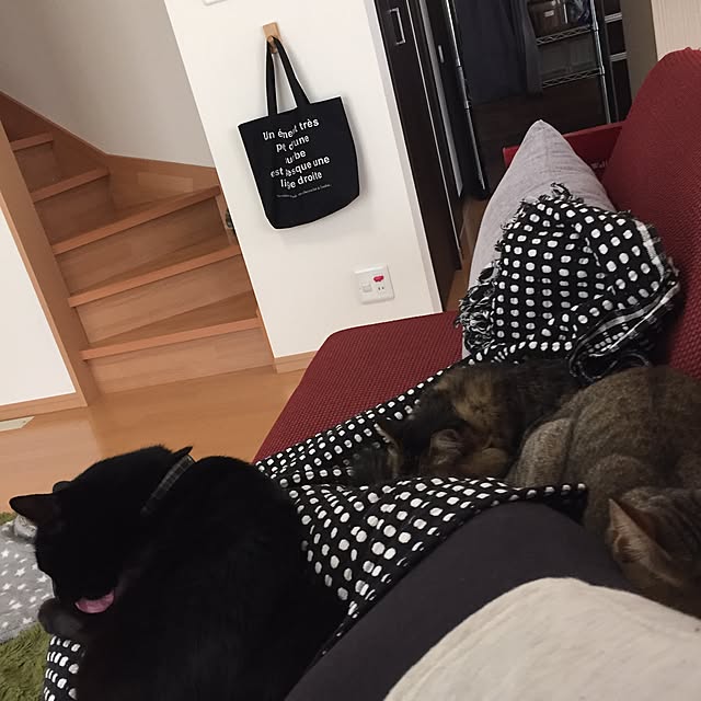 yuki0511さんの実例写真