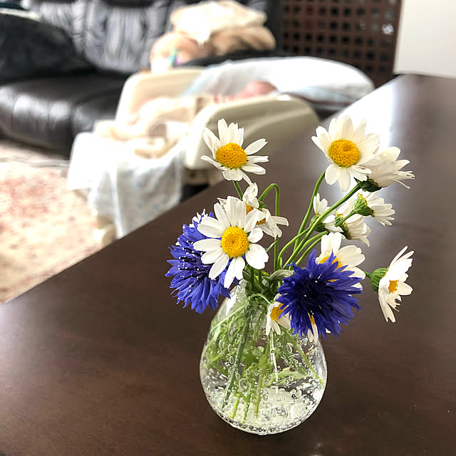 interior.homelifeさんの実例写真