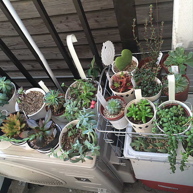 kuさんの実例写真