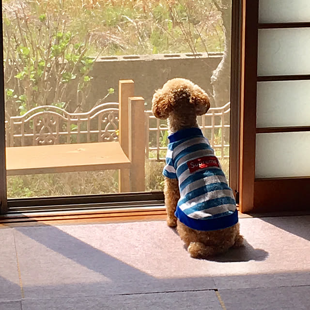 makizoさんの実例写真
