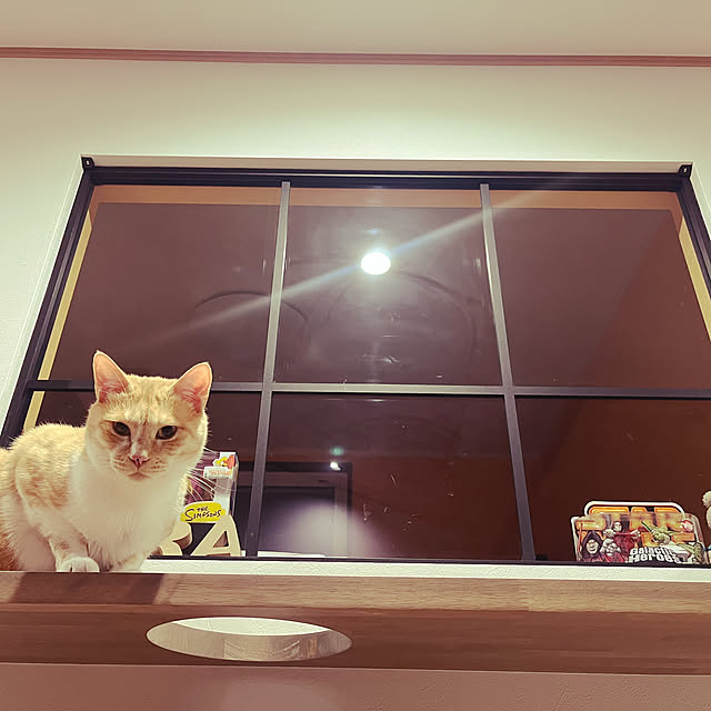 taachingさんの実例写真