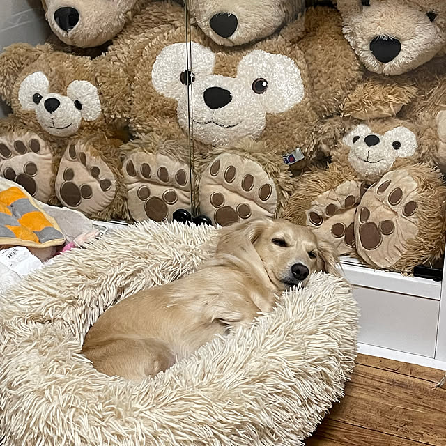 Luckyさんの部屋
