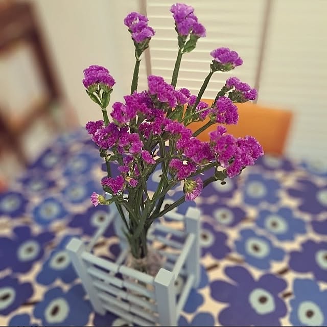 sakura_3さんの部屋