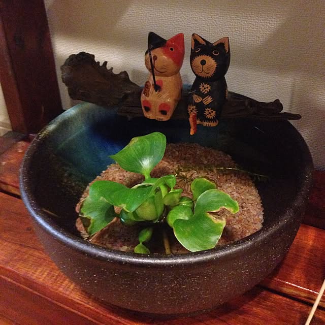 実例写真