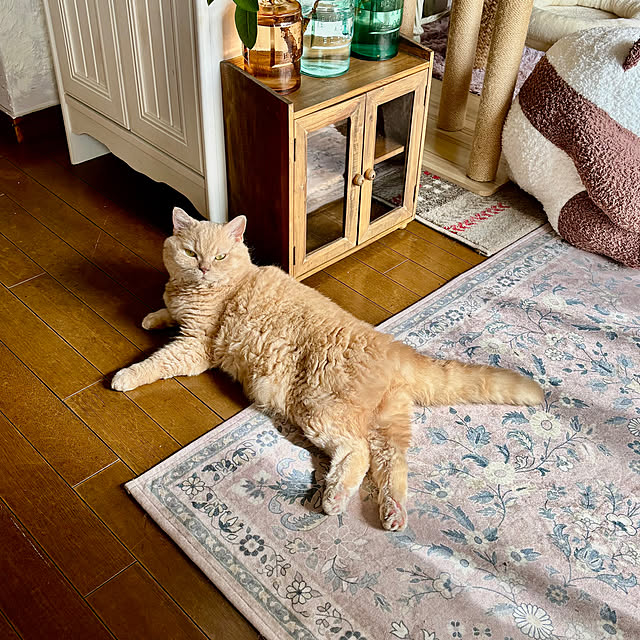 naokoさんの実例写真