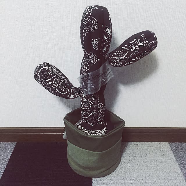 akichanaさんの実例写真
