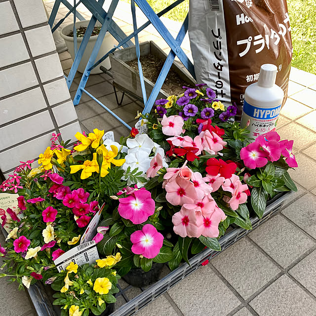 YuuKoさんの実例写真